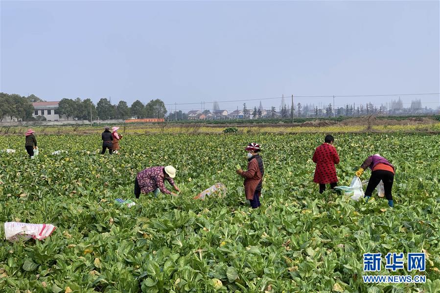 （新華全媒頭條&middot;圖文互動）（4）努力保持生產(chǎn)生活平穩(wěn)有序&mdash;&mdash;抓緊復工復產(chǎn)穩(wěn)定經(jīng)濟運行掃描