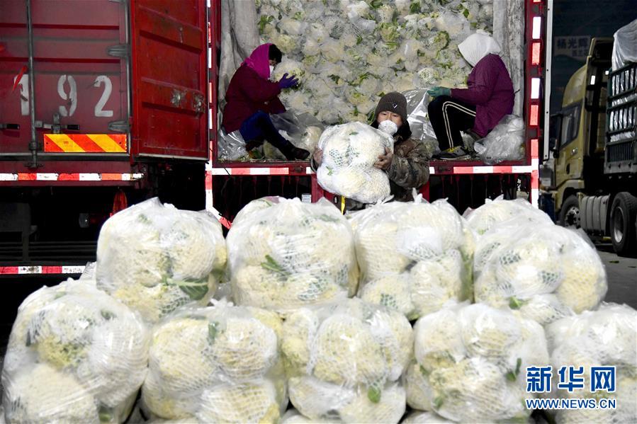 （在習(xí)近平新時(shí)代中國特色社會主義思想指引下&mdash;&mdash;新時(shí)代新作為新篇章&middot;習(xí)近平總書記關(guān)切事&middot;圖文互動）（5）&ldquo;菜籃子&rdquo;里的力量&mdash;&mdash;全國各地努力做好保障和改善民生工作在行動