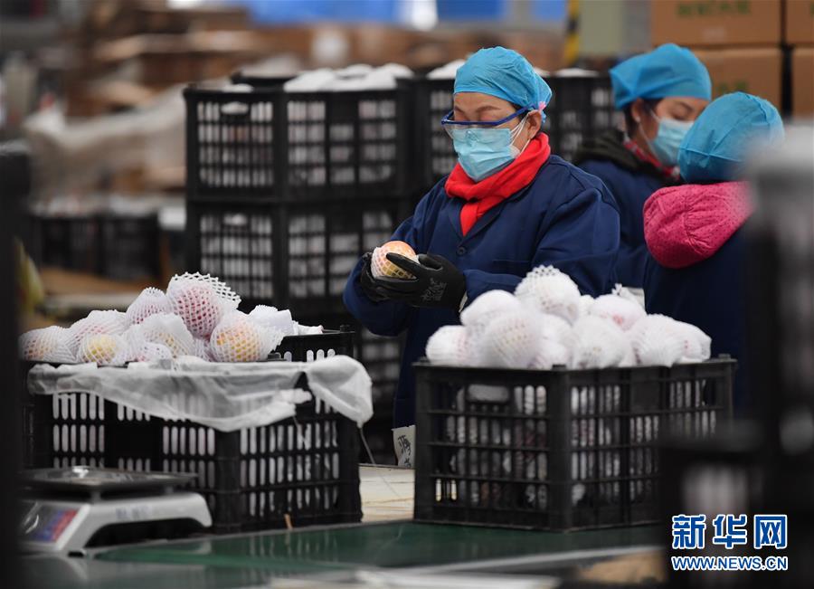 （聚焦疫情防控&middot;圖文互動(dòng)）（4）&ldquo;一輛輛車出發(fā)，春暖花開的日子就不遠(yuǎn)了&rdquo;&mdash;&mdash;西北電商大縣陜西省武功縣復(fù)工見聞