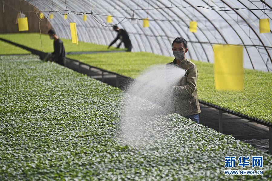 （新華全媒頭條&middot;圖文互動）（12）磨難壓不垮 奮起正當時&mdash;&mdash;習近平總書記在統(tǒng)籌推進新冠肺炎疫情防控和經(jīng)濟社會發(fā)展工作部署會議上的重要講話振奮人心凝聚力量