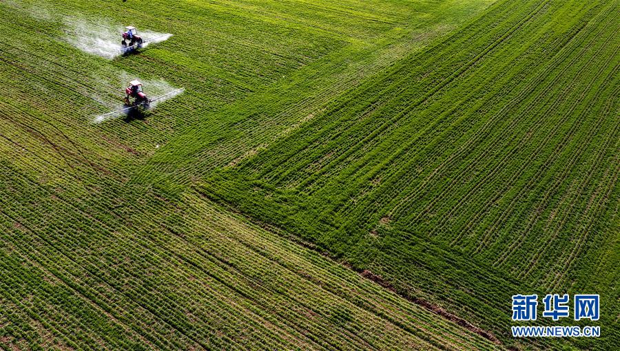 （新華全媒頭條&middot;圖文互動）（13）磨難壓不垮 奮起正當時&mdash;&mdash;習近平總書記在統(tǒng)籌推進新冠肺炎疫情防控和經(jīng)濟社會發(fā)展工作部署會議上的重要講話振奮人心凝聚力量