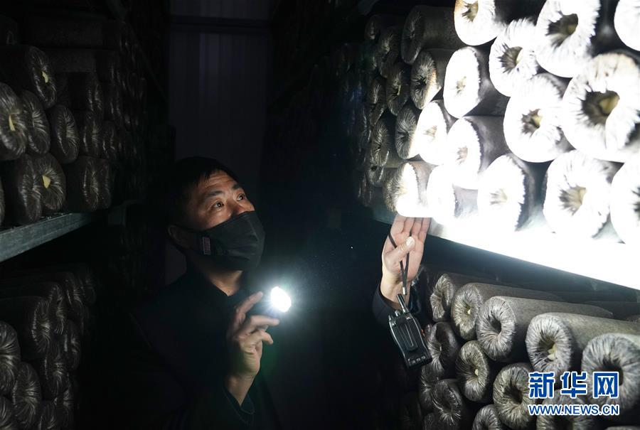 （決戰(zhàn)決勝脫貧攻堅&middot;圖文互動）（4）秦巴山區(qū)：戰(zhàn)疫戰(zhàn)貧，兩場仗都要打贏