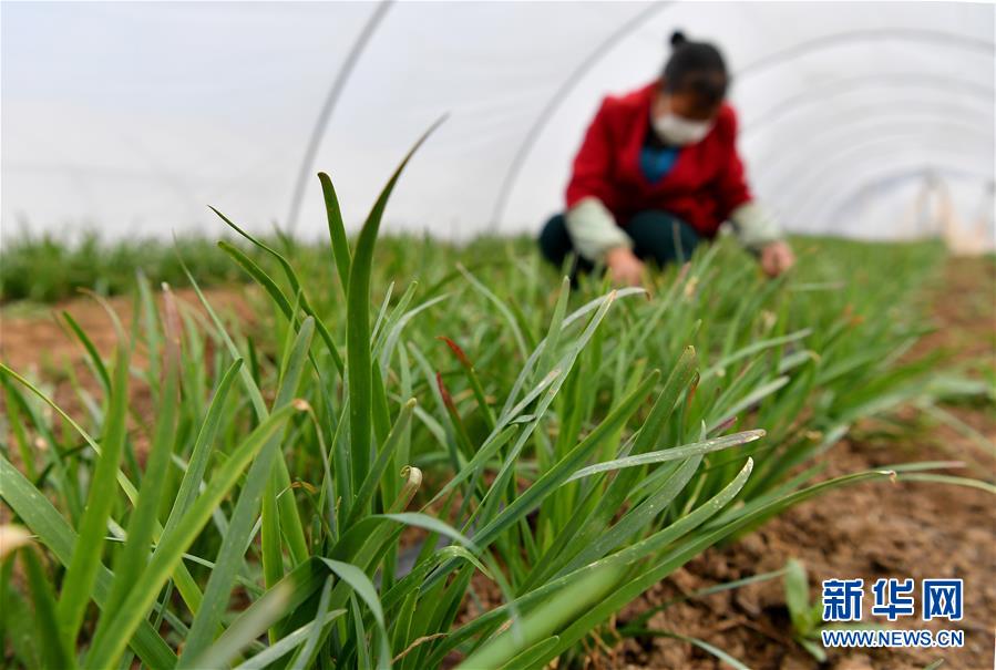 （圖文互動(dòng)）（3）&ldquo;春天到了，熟悉的生活正在慢慢回來(lái)&rdquo;&mdash;&mdash;陜西多地復(fù)產(chǎn)復(fù)工一線見(jiàn)聞