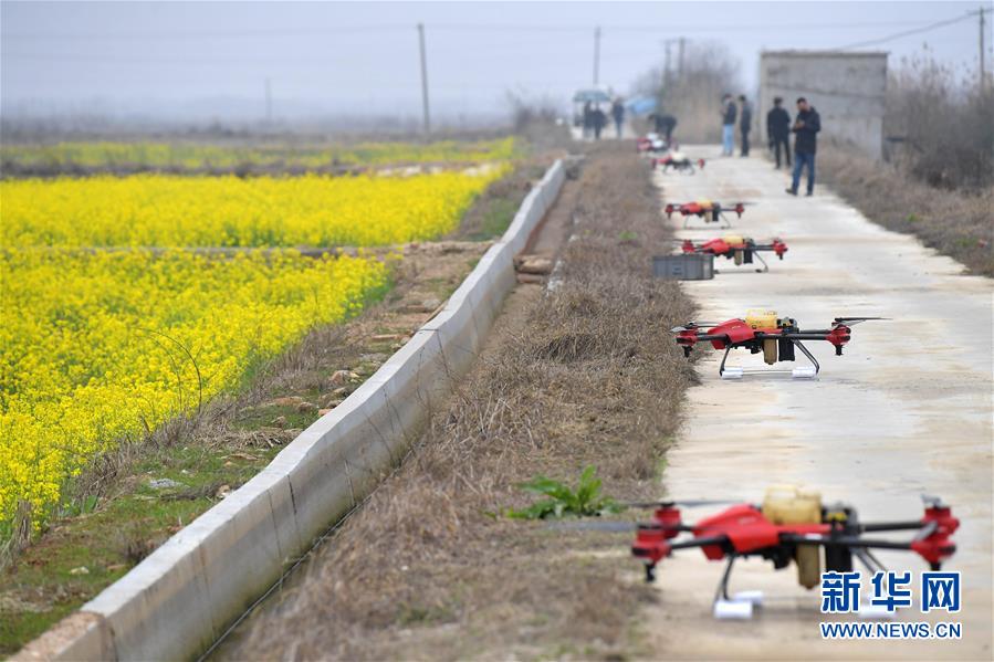 （抓好春耕備耕 穩(wěn)住農(nóng)業(yè)生產(chǎn)&middot;圖文互動(dòng)）（4）智能農(nóng)機(jī)、&ldquo;訂單&rdquo;服務(wù)、&ldquo;云端&rdquo;種菜&mdash;&mdash;來(lái)自江西的春耕&ldquo;新事&rdquo;