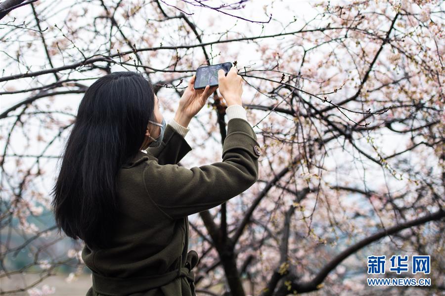 (圖文互動)(5)湖南:響應降級 經(jīng)濟提速 防控不松
