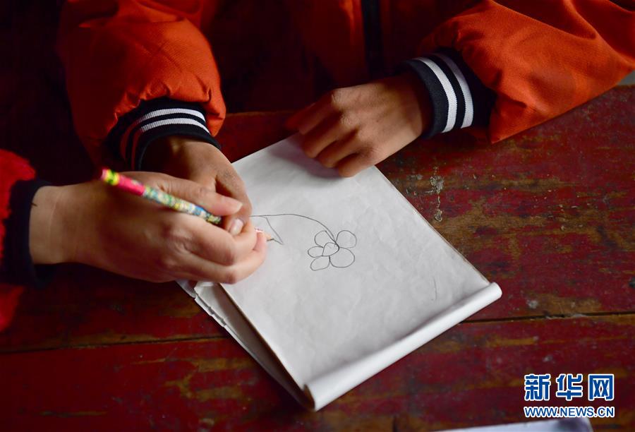 （決戰(zhàn)決勝脫貧攻堅&middot;圖文互動）（5）特寫：疫情下的一堂特殊送教上門課