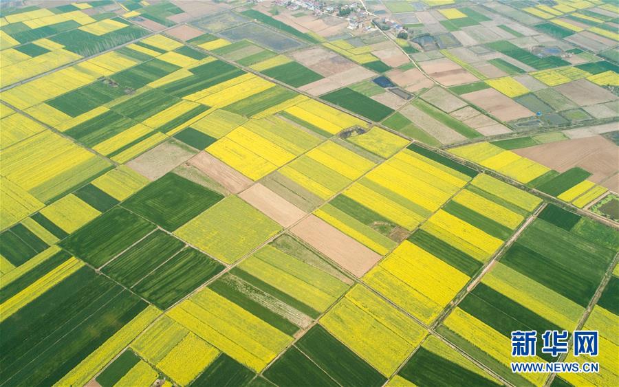 （新華全媒頭條&middot;圖文互動）（6）在艱難中重啟 在陣痛中復蘇&mdash;&mdash;湖北推動安全有序復工復產掃描