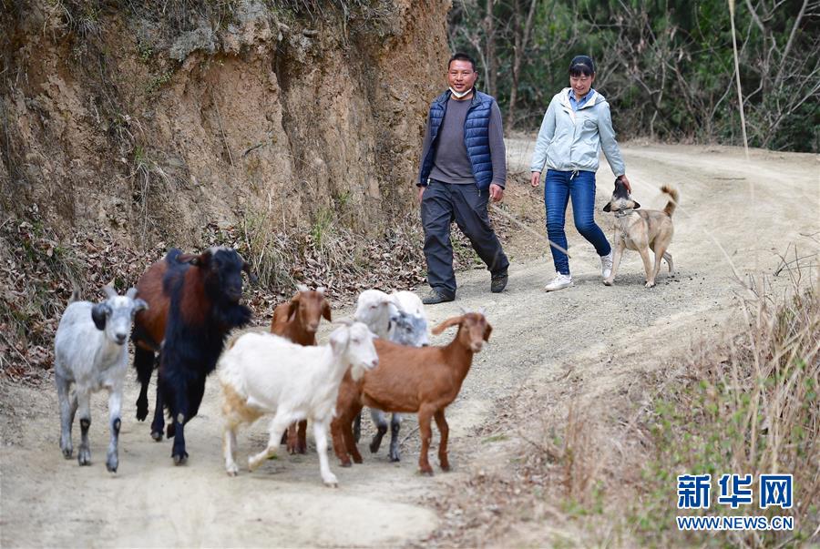 （新華全媒頭條&middot;圖文互動）（7）奔向新的幸福&mdash;&mdash;陜西貧困縣全部摘帽的N個截面