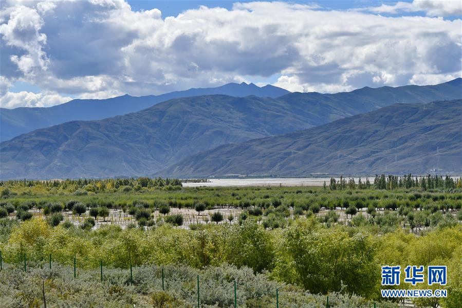 （圖文互動）（4）&ldquo;今天的生活，就像夢里夢到那樣甜&rdquo;&mdash;&mdash;寫在西藏百萬農(nóng)奴解放61周年之際