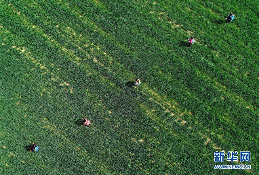 （新華全媒頭條&middot;圖文互動(dòng)）（5）春天，匯聚復(fù)蘇的力量&mdash;&mdash;寫在2020年首季中國(guó)經(jīng)濟(jì)收官之際