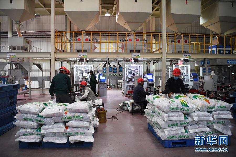 (抓好春耕備耕 穩(wěn)住農(nóng)業(yè)生產(chǎn)·圖文互動)(3)走向泥土是我們的終極夢想——一粒種子的自述