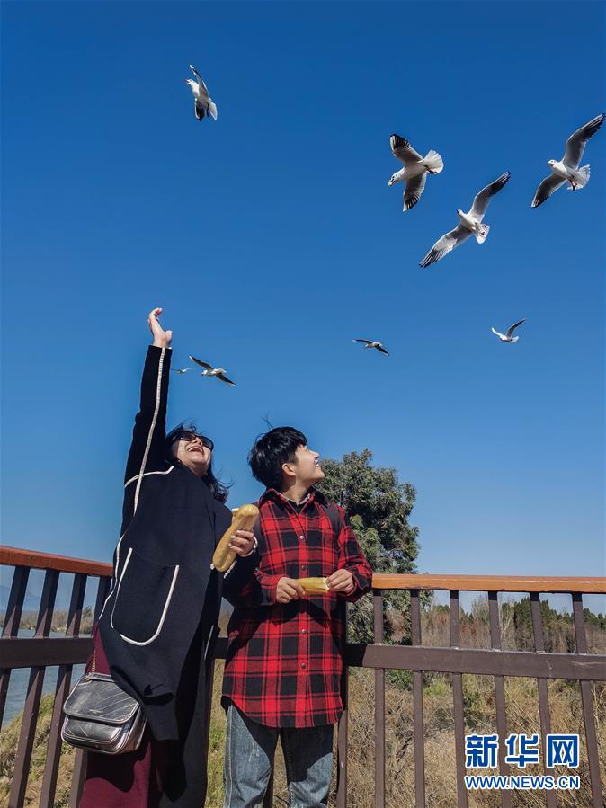 （一線抗疫群英譜&middot;圖文互動）（1）大學(xué)生志愿者譚藝西：在武漢，我和媽媽共戰(zhàn)&ldquo;疫&rdquo;