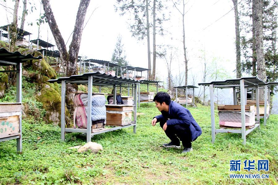 （決戰(zhàn)決勝脫貧攻堅(jiān)&middot;圖文互動(dòng)）（3）寄相思，償夙愿&mdash;&mdash;5封清明&ldquo;家書&rdquo;里的決戰(zhàn)決勝信念