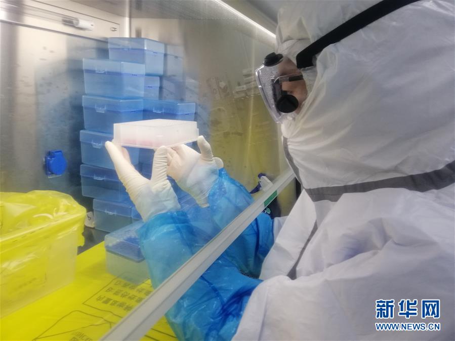 （一線抗疫群英譜&middot;圖文互動）（2）&ldquo;95后&rdquo;大學(xué)生郝鶯歌：退掉車票，她選擇直面病毒