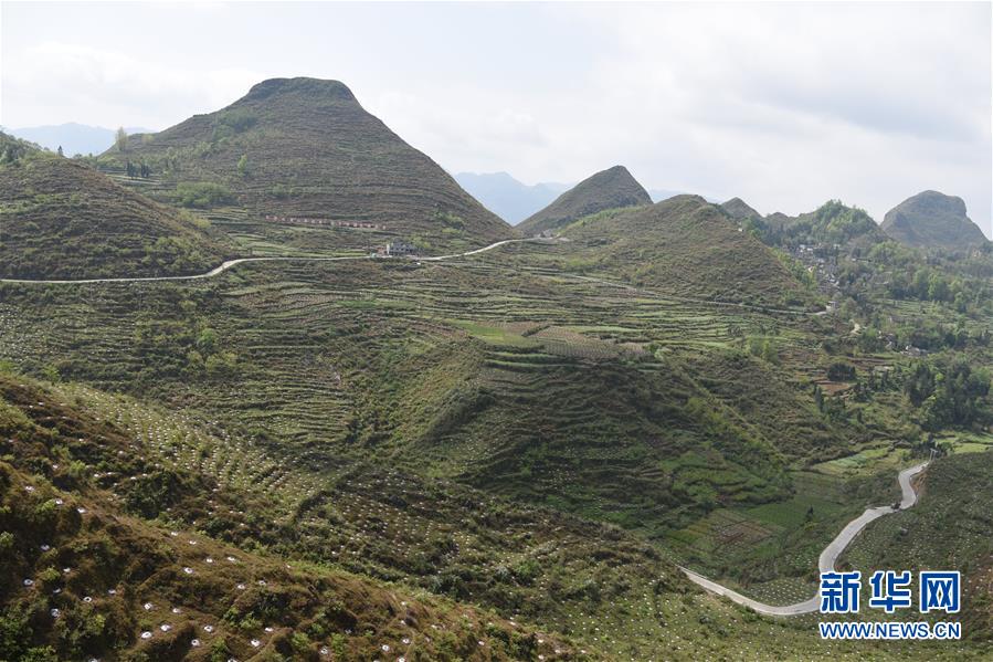 （決戰(zhàn)決勝脫貧攻堅(jiān)&middot;圖文互動(dòng)）（1）逐項(xiàng)逐戶排查補(bǔ)齊脫貧攻堅(jiān)&ldquo;短板&rdquo;&mdash;&mdash;貴州晴隆縣扶貧一線工作見(jiàn)聞 