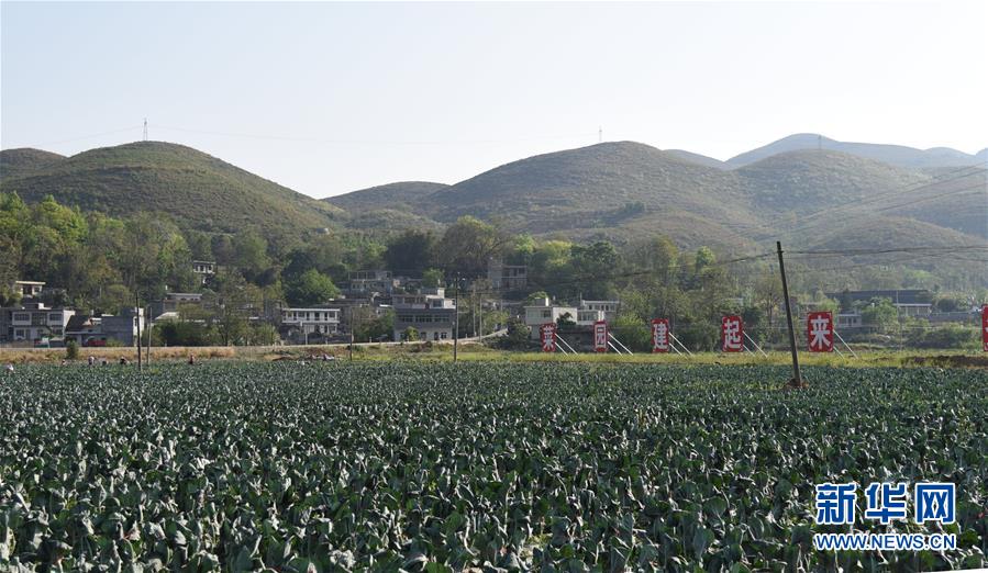 （決戰(zhàn)決勝脫貧攻堅(jiān)&middot;圖文互動(dòng)）（2）逐項(xiàng)逐戶排查補(bǔ)齊脫貧攻堅(jiān)&ldquo;短板&rdquo;&mdash;&mdash;貴州晴隆縣扶貧一線工作見(jiàn)聞 