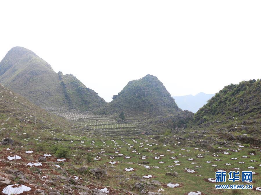 （決戰(zhàn)決勝脫貧攻堅(jiān)&middot;圖文互動(dòng)）（4）逐項(xiàng)逐戶排查補(bǔ)齊脫貧攻堅(jiān)&ldquo;短板&rdquo;&mdash;&mdash;貴州晴隆縣扶貧一線工作見(jiàn)聞 