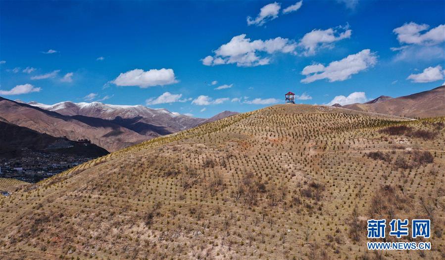 （新華全媒頭條&middot;圖文互動(dòng)）（6）三江之源見證中國(guó)奇跡&mdash;&mdash;寫在玉樹地震10周年之際