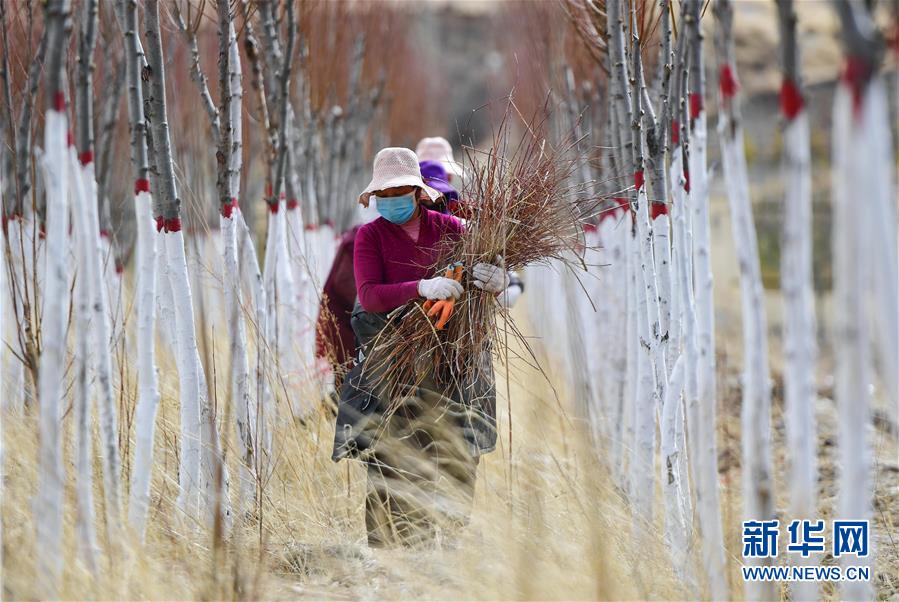 （新華全媒頭條&middot;圖文互動(dòng)）（14）三江之源見證中國(guó)奇跡&mdash;&mdash;寫在玉樹地震10周年之際
