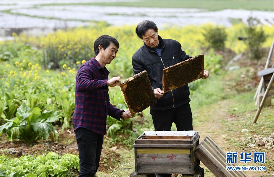 （決戰(zhàn)決勝脫貧攻堅&middot;圖文互動）（2）一位農(nóng)民的產(chǎn)業(yè)扶貧成績單 