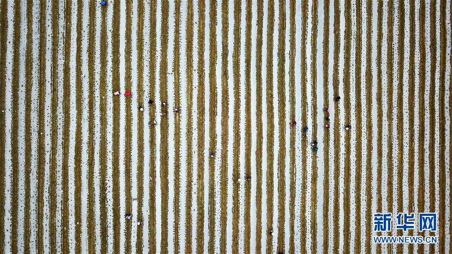 (在習(xí)近平新時(shí)代中國(guó)特色社會(huì)主義思想指引下——新時(shí)代新作為新篇章·習(xí)近平總書記關(guān)切事·圖文互動(dòng))(6)啃下最后的硬骨頭——脫貧攻堅(jiān)掛牌督戰(zhàn)進(jìn)行時(shí)