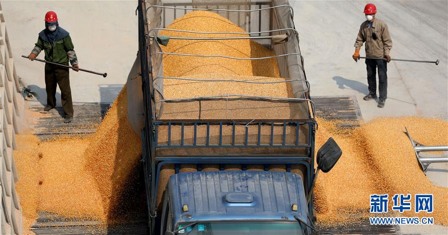 （在習近平新時代中國特色社會主義思想指引下&mdash;&mdash;新時代新作為新篇章&middot;習近平總書記關切事&middot;圖文互動）（7）春耕忙 信心足&mdash;&mdash;谷雨時節(jié)走馬東北直擊糧事