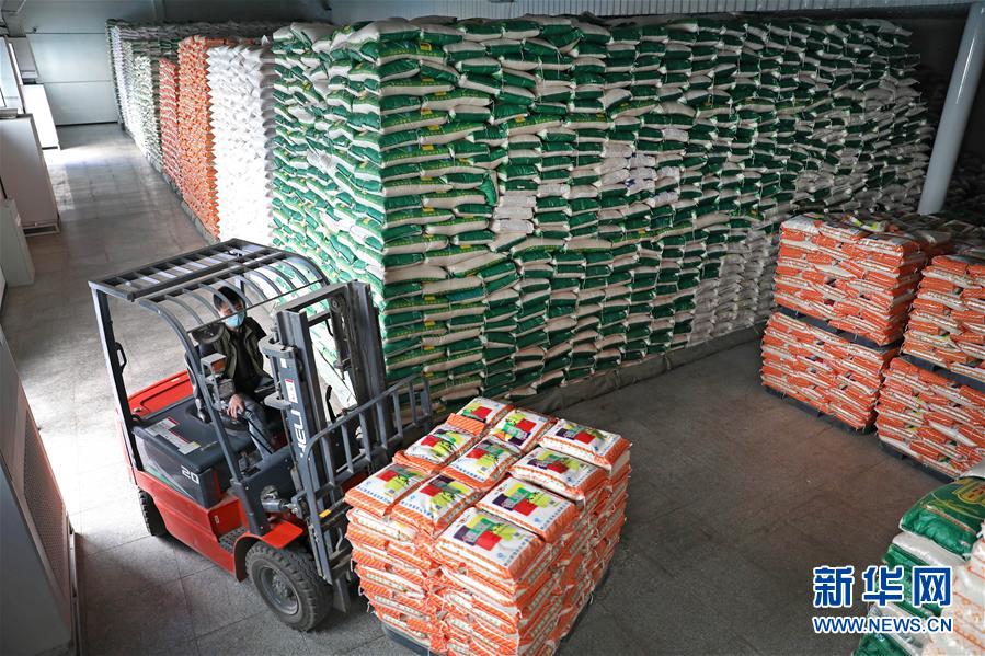 （在習近平新時代中國特色社會主義思想指引下&mdash;&mdash;新時代新作為新篇章&middot;習近平總書記關切事&middot;圖文互動）（9）春耕忙 信心足&mdash;&mdash;谷雨時節(jié)走馬東北直擊糧事