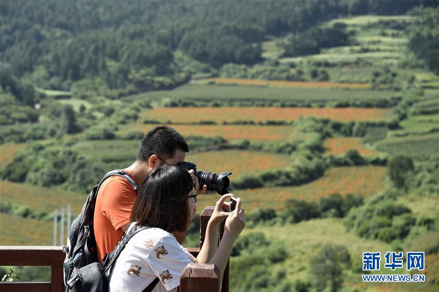 （圖文互動(dòng)）（1）這座小城，鐫刻下怎樣的&ldquo;世園印記&rdquo;&mdash;&mdash;北京世園會(huì)開園一周年探訪延慶
