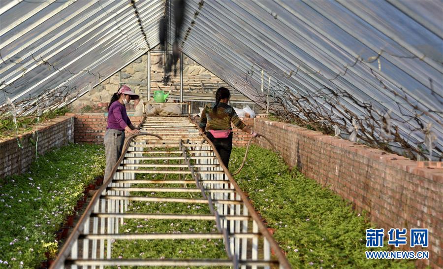 （圖文互動(dòng)）（2）這座小城，鐫刻下怎樣的&ldquo;世園印記&rdquo;&mdash;&mdash;北京世園會(huì)開園一周年探訪延慶