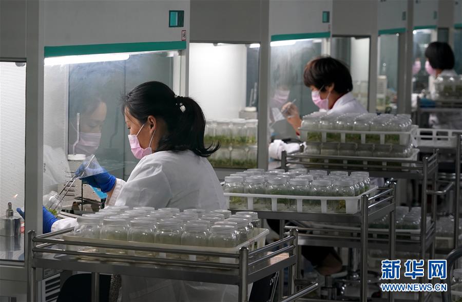 （來自一線的調(diào)查報(bào)告&middot;圖文互動(dòng)）（6）搶出一個(gè)身位謀發(fā)展&mdash;&mdash;河南許昌經(jīng)濟(jì)復(fù)蘇見聞