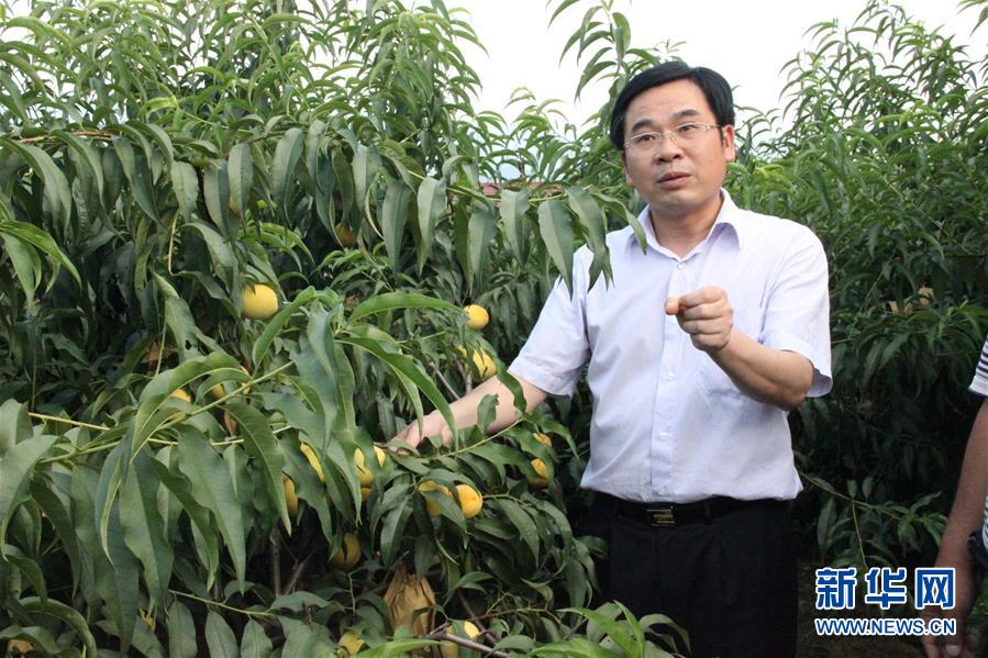 （圖文互動(dòng)）（2）&ldquo;為脫貧而來，為脫貧而去&rdquo;&mdash;&mdash;追記湖南炎陵縣委原書記黃詩(shī)燕 