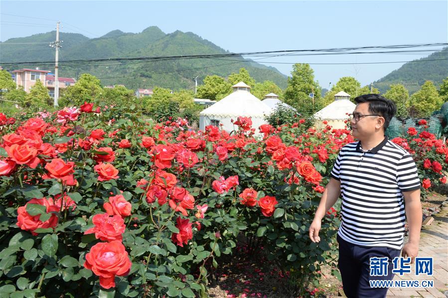 （決戰(zhàn)決勝脫貧攻堅&middot;圖文互動）（6）理發(fā)師&ldquo;修剪&rdquo;鄉(xiāng)村游一團亂麻