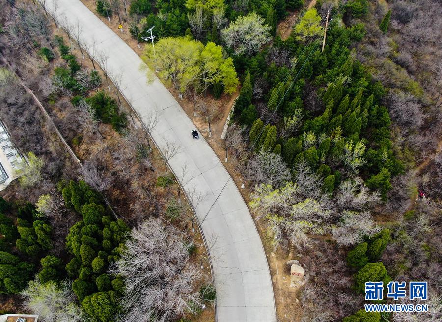 （抗疫中的真善美&middot;圖文互動(dòng)）（1）修鞋匠張明抗&ldquo;疫&rdquo;記