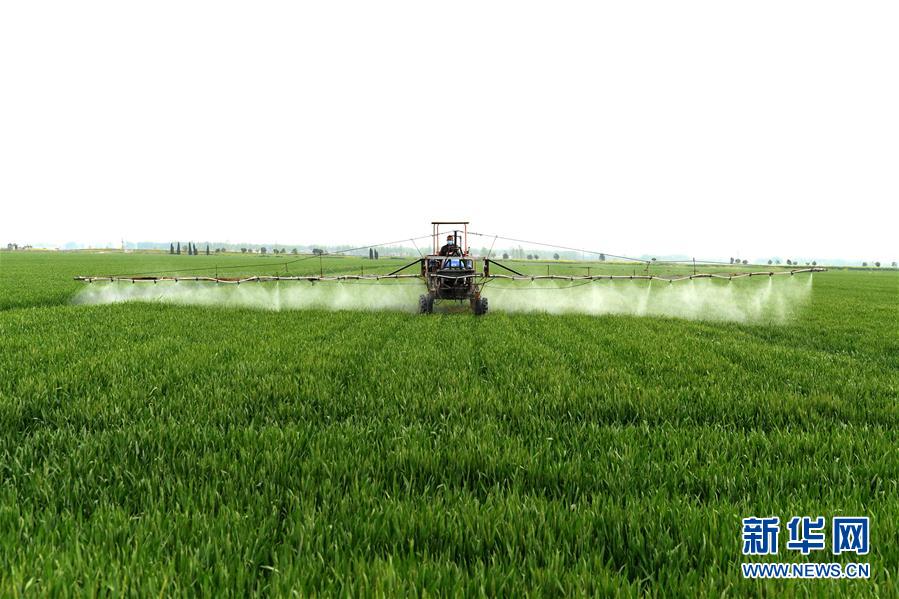 （在習(xí)近平新時(shí)代中國(guó)特色社會(huì)主義思想指引下&mdash;&mdash;新時(shí)代新作為新篇章&middot;習(xí)近平總書記關(guān)切事&middot;圖文互動(dòng)）（10）新農(nóng)事、新希望&mdash;&mdash;夏收前田間新動(dòng)態(tài)掃描