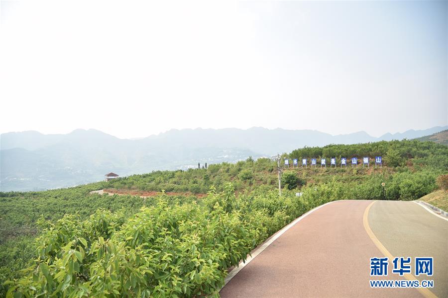 （決戰(zhàn)決勝脫貧攻堅&middot;圖文互動）（2）烏蒙山農(nóng)民的笑臉&mdash;&mdash;貴州脫貧攻堅一線采訪隨筆