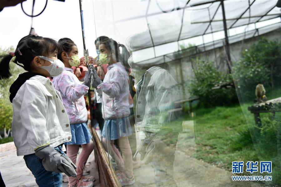 （圖文互動）（2）青海西寧：和野生動物們共度&ldquo;六一&rdquo;