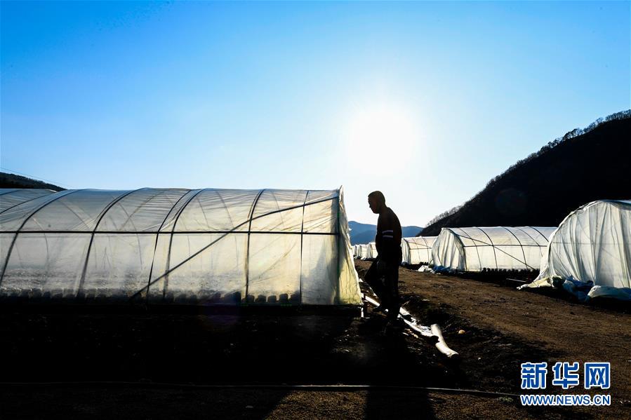 （決戰(zhàn)決勝脫貧攻堅&middot;圖文互動）（10）長白山下唱新篇&mdash;&mdash;吉林延邊州脫貧攻堅觀察