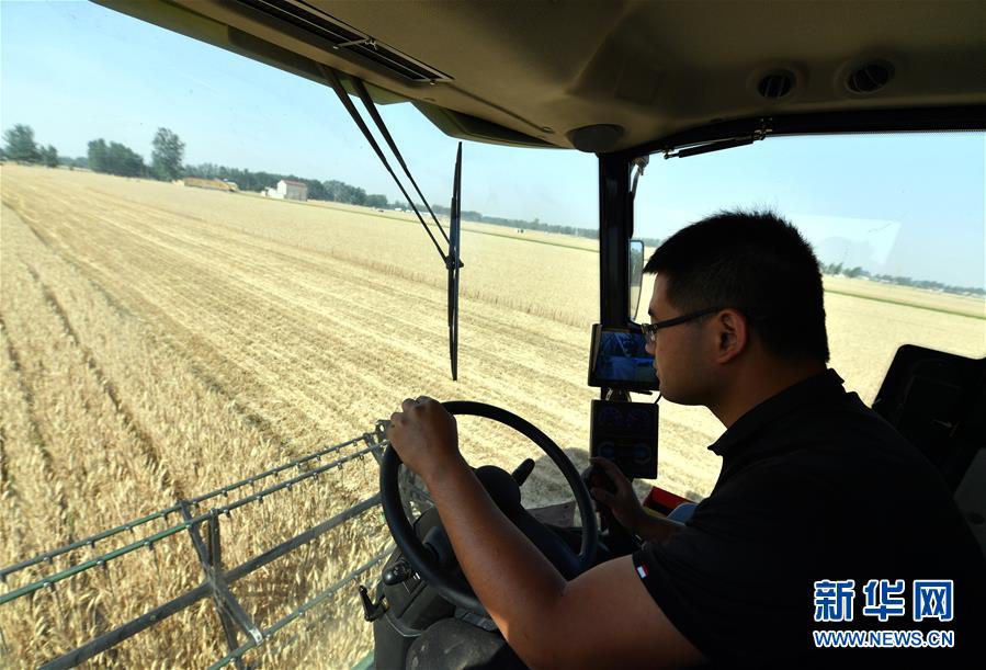 (關(guān)注三夏·圖文互動)(2)麥田“后浪”的農(nóng)事新說