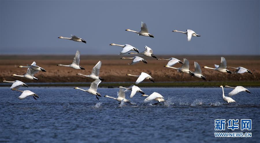 （新華全媒頭條&middot;圖文互動）（10）大湖新歌&mdash;&mdash;我國兩大淡水湖全面生態(tài)修復進行時