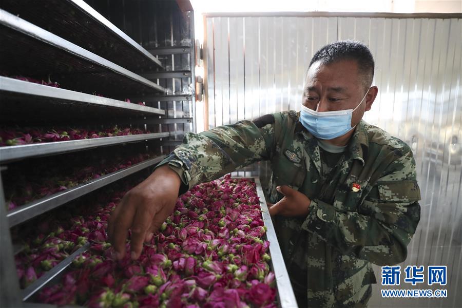 (熱點(diǎn)鮮報(bào)·走向我們的小康生活·圖文互動(dòng))(2)你沒聽過的伊瑪堪——“北大倉”里話小康之三