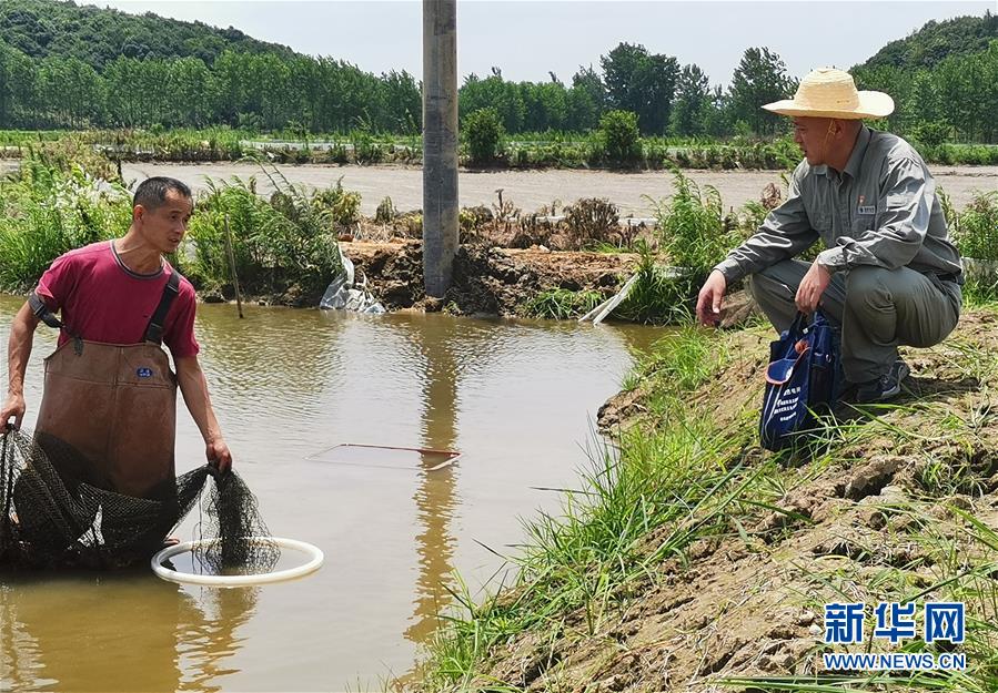 (決戰(zhàn)決勝脫貧攻堅(jiān)·圖文互動(dòng))(3)駐村第一書記當(dāng)起“蝦農(nóng)”“牛倌”