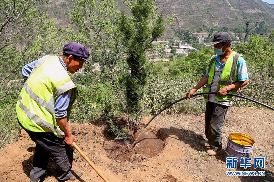 (圖文互動(dòng))(5)北京:治沙20載 逾854萬畝林海拒風(fēng)沙