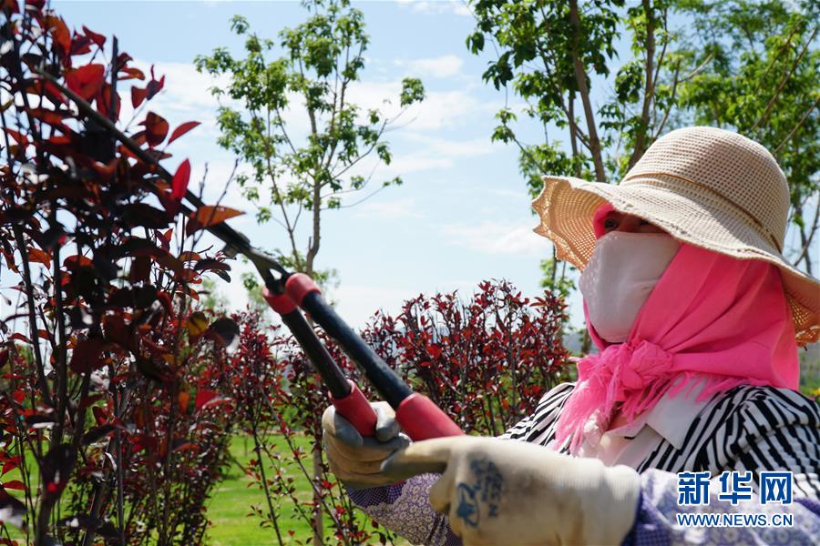 （決戰(zhàn)決勝脫貧攻堅&middot;圖文互動）（2）李三姐有了&ldquo;美&rdquo;差事