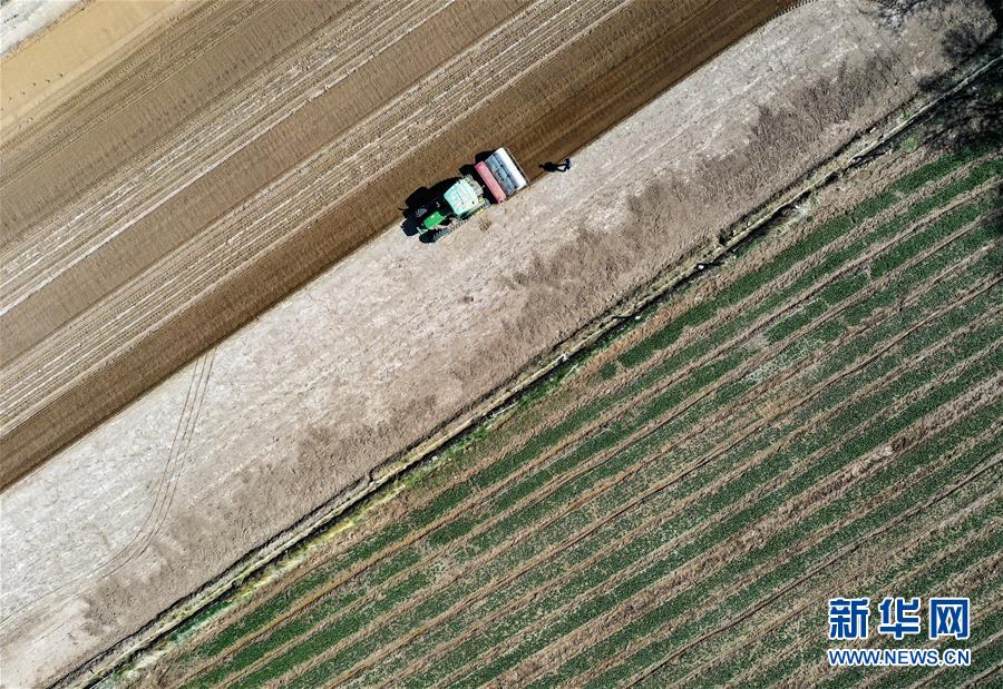 (新華全媒頭條·圖文互動)(11)中國北斗 服務(wù)全球——寫在我國完成北斗全球衛(wèi)星導(dǎo)航系統(tǒng)星座部署之際