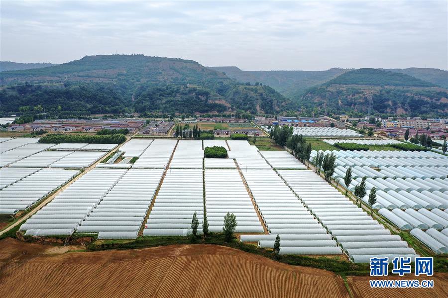 （決戰(zhàn)決勝脫貧攻堅&middot;圖文互動）（3）魚漁兼授 志智雙扶&mdash;&mdash;窮溝溝&ldquo;菜富記&rdquo;