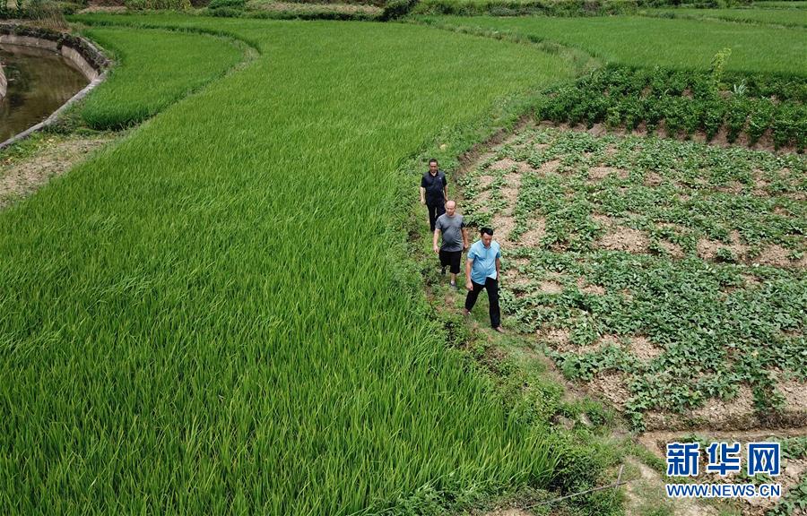 （圖文互動）（6）湘南深山，堅(jiān)守扶貧一線的黨員之家