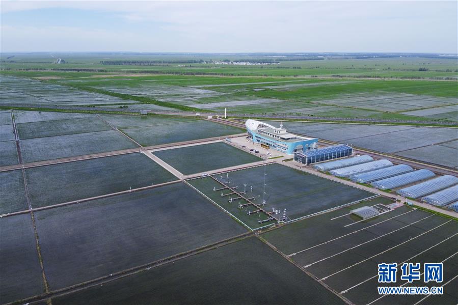 （走向我們的小康生活&middot;圖文互動(dòng)）（3）端牢&ldquo;中國飯碗&rdquo; 播種綠色小康