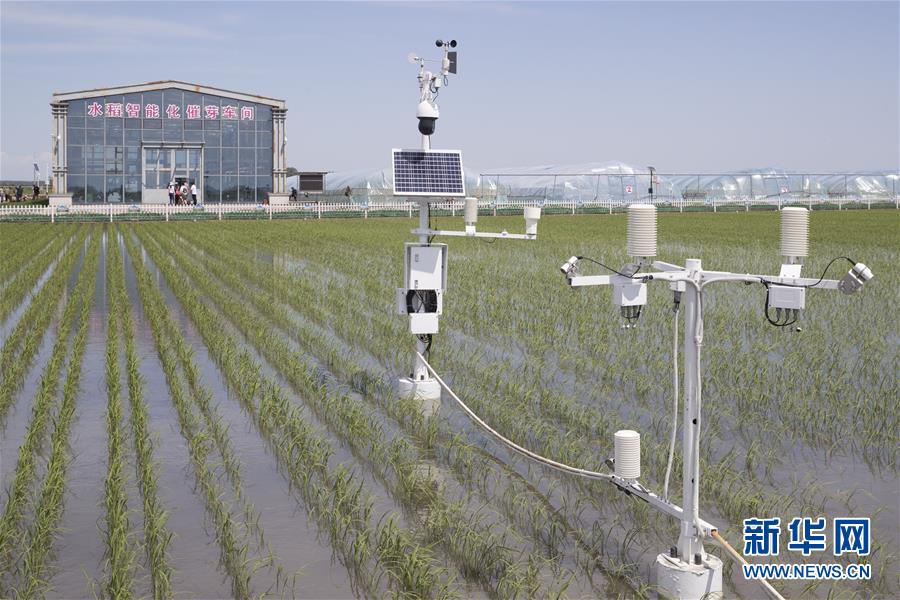 （走向我們的小康生活&middot;圖文互動(dòng)）（4）端牢&ldquo;中國飯碗&rdquo; 播種綠色小康