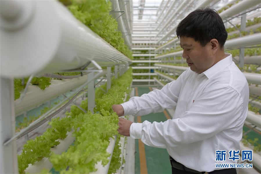 (新華全媒頭條·圖文互動(dòng))(1)十任“支書(shū)”一個(gè)夢(mèng)