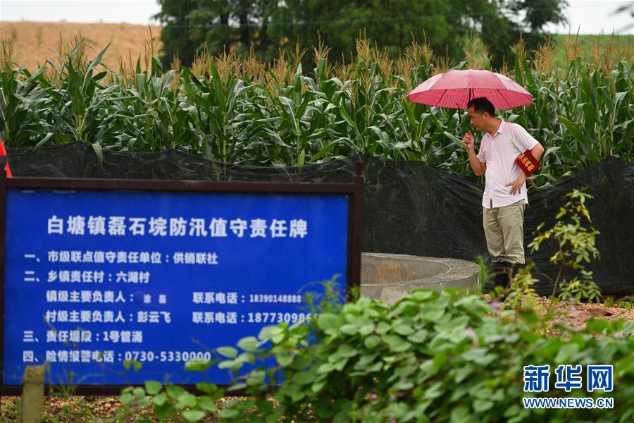 （防汛抗洪&middot;圖文互動）（1）&ldquo;險情不可怕，可怕的是不能及時發(fā)現(xiàn)險情&rdquo;&mdash;&mdash;洞庭湖巡堤查險現(xiàn)場直擊